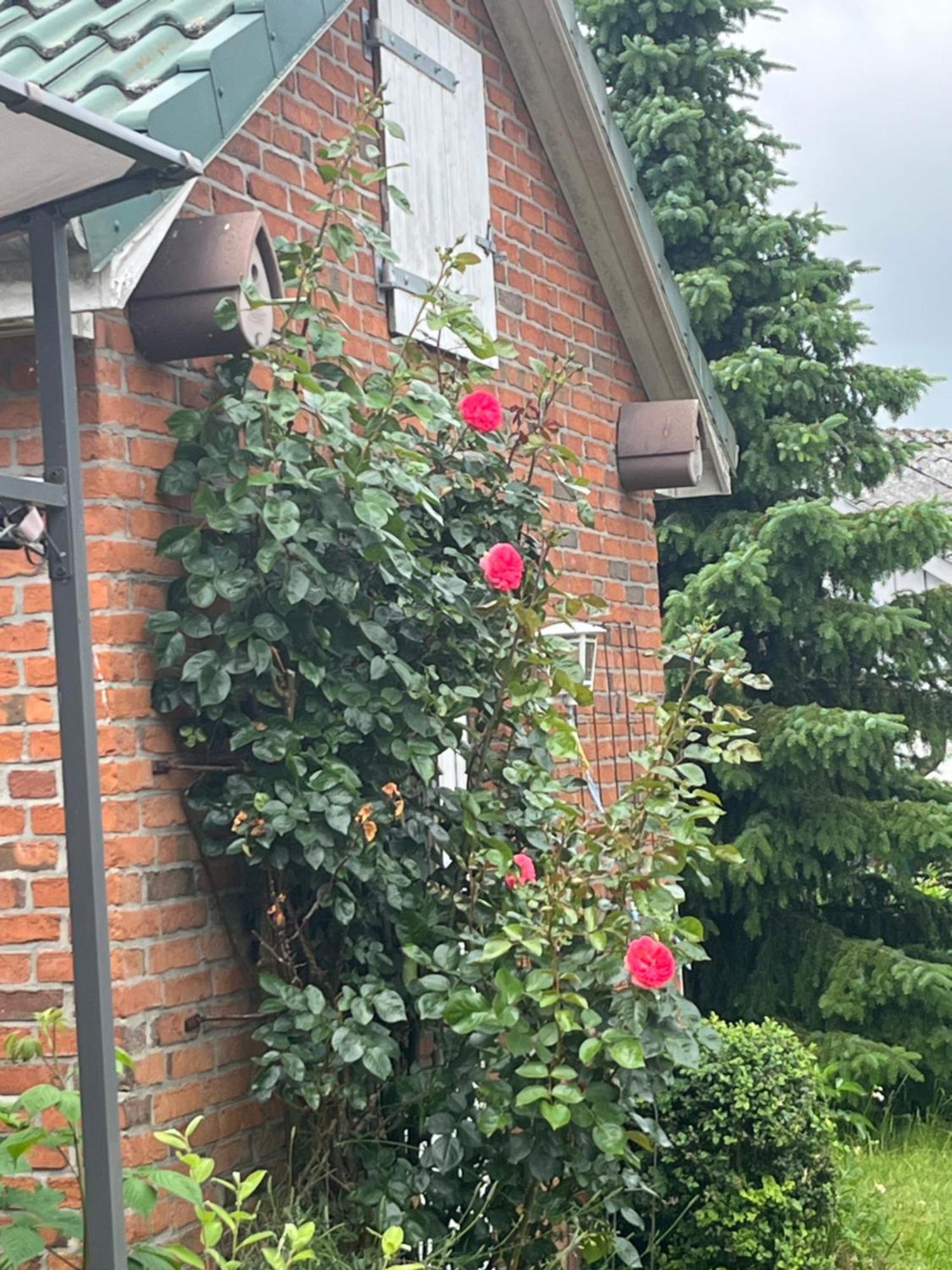 Gartenzimmer Zwischen Den Meeren Ladelund المظهر الخارجي الصورة